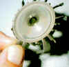 2.jpg (23821 Byte)